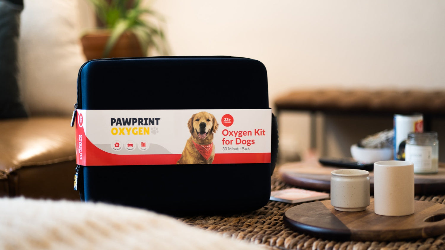 rescue dog oxygen kit
