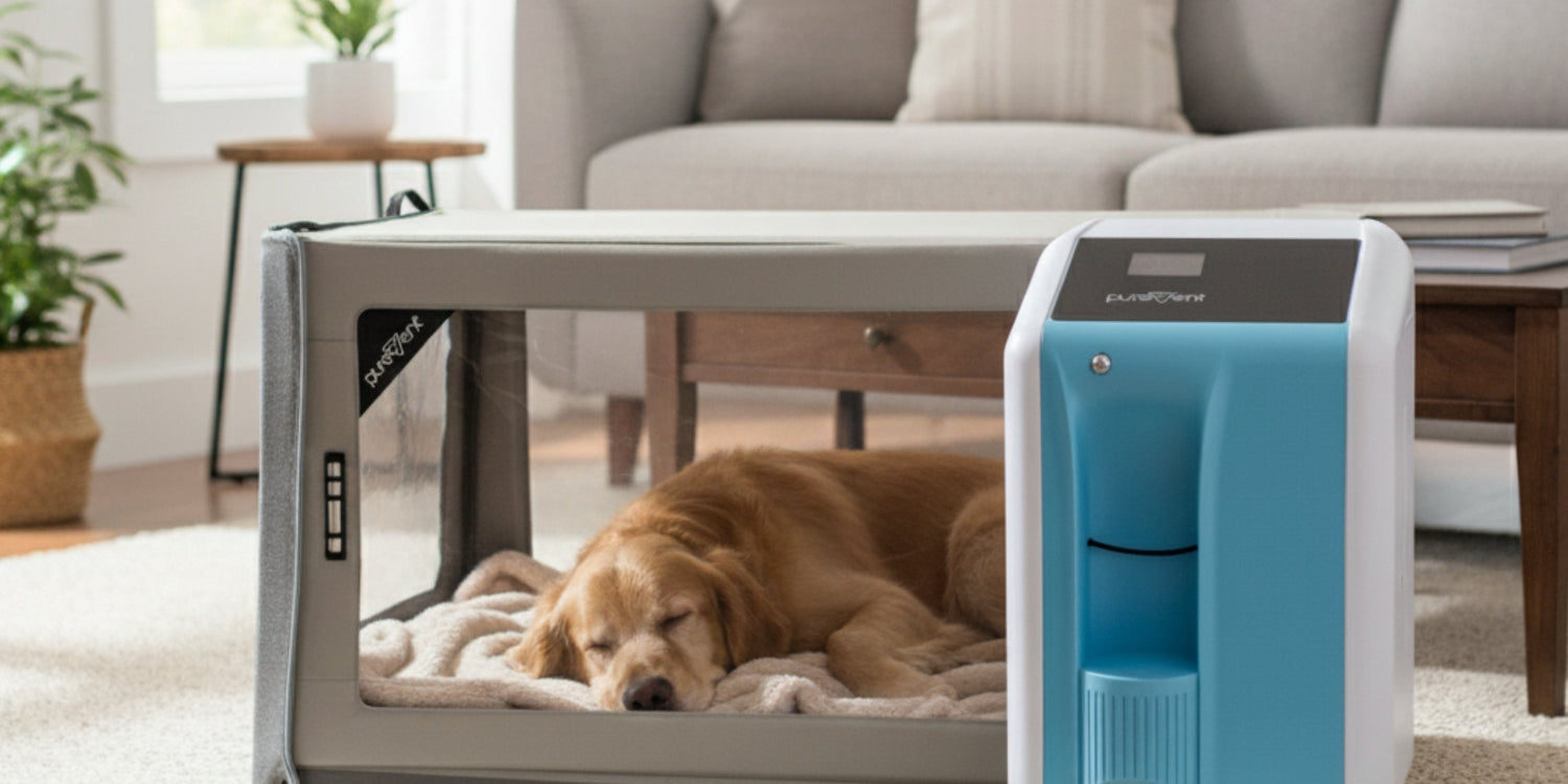 Large PureVent Pet Oxygen Chamber