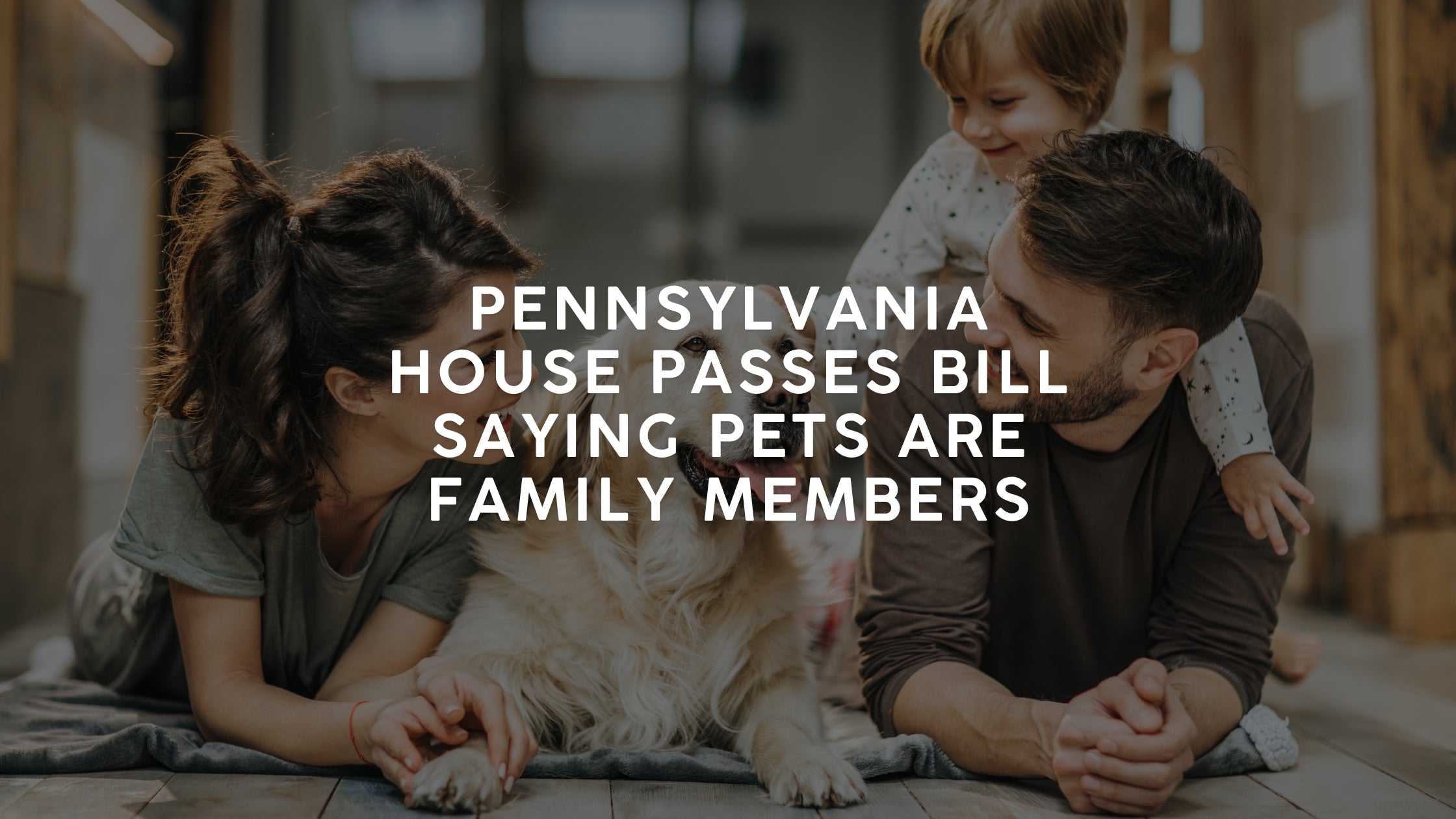 pet with family at home