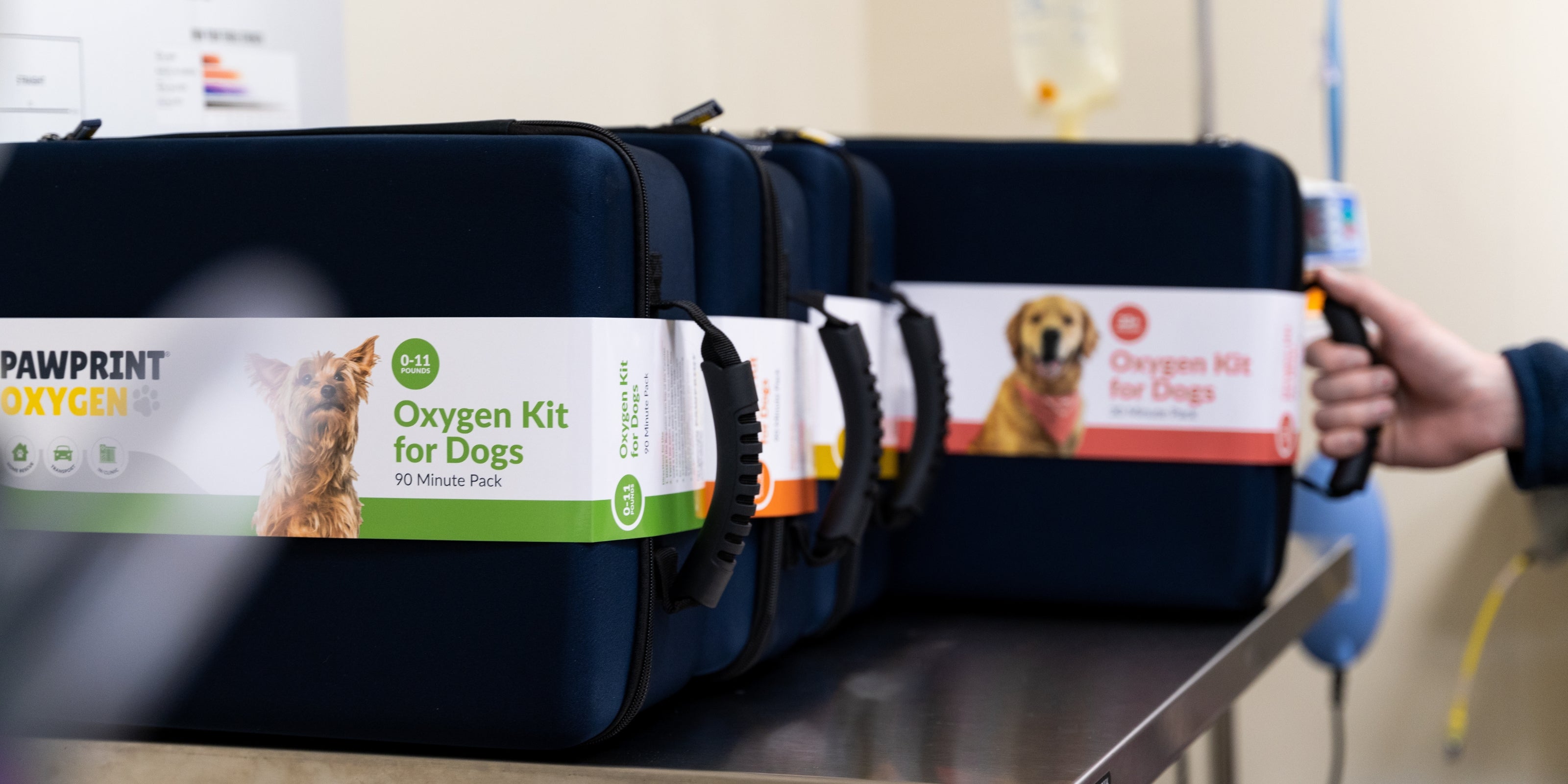 portable oxygen kits