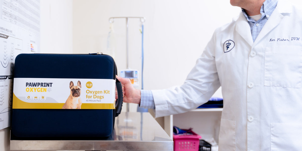 A veterinarian holding a Pawprint Oxygen Kit for Dogs in a clinic