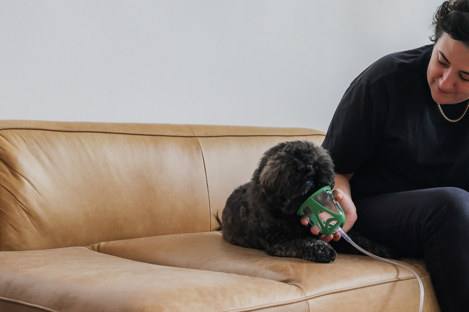 Dog sitting on a cough receiving oxygen therapy
