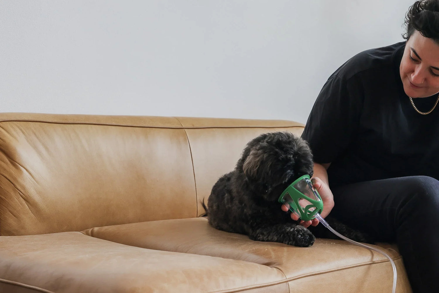 Dog sitting on a cough receiving oxygen therapy