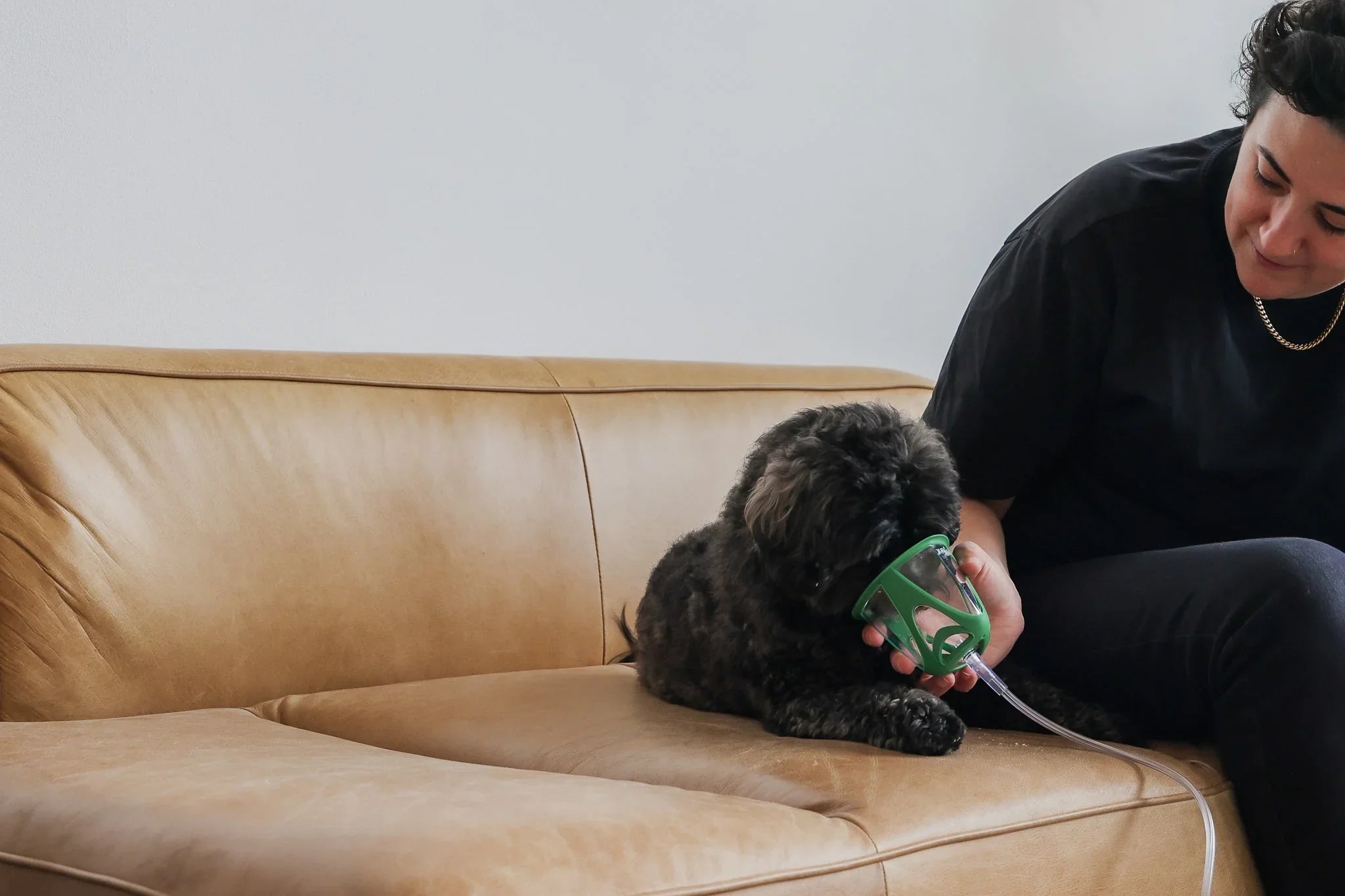 Dog sitting on a cough receiving oxygen therapy