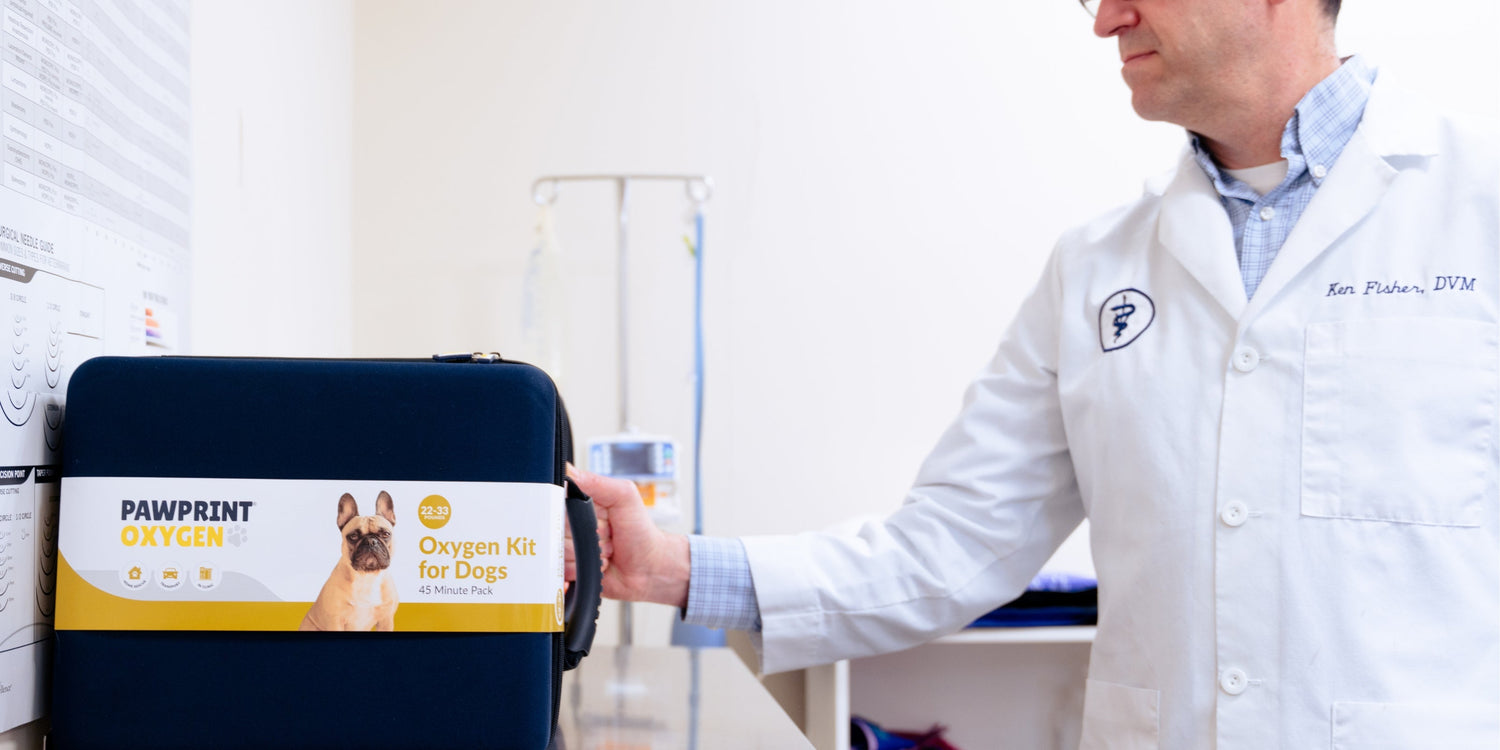 Veterinarian holding a portable oxygen kit