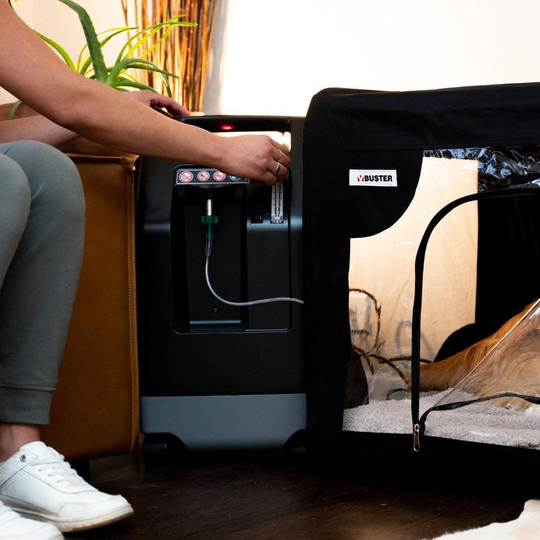 Pet Oxygen Concentrator - Drive 10L - Medical-Grade – Continuous Oxygen Therapy for Dogs Cats and Pets
