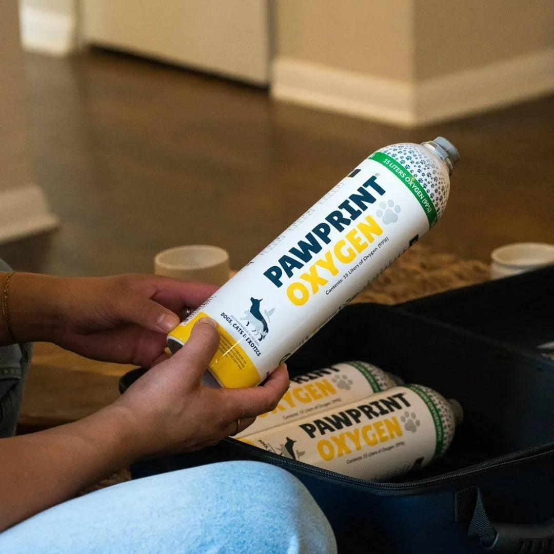 Close up of 15L Pet Oxygen Canister