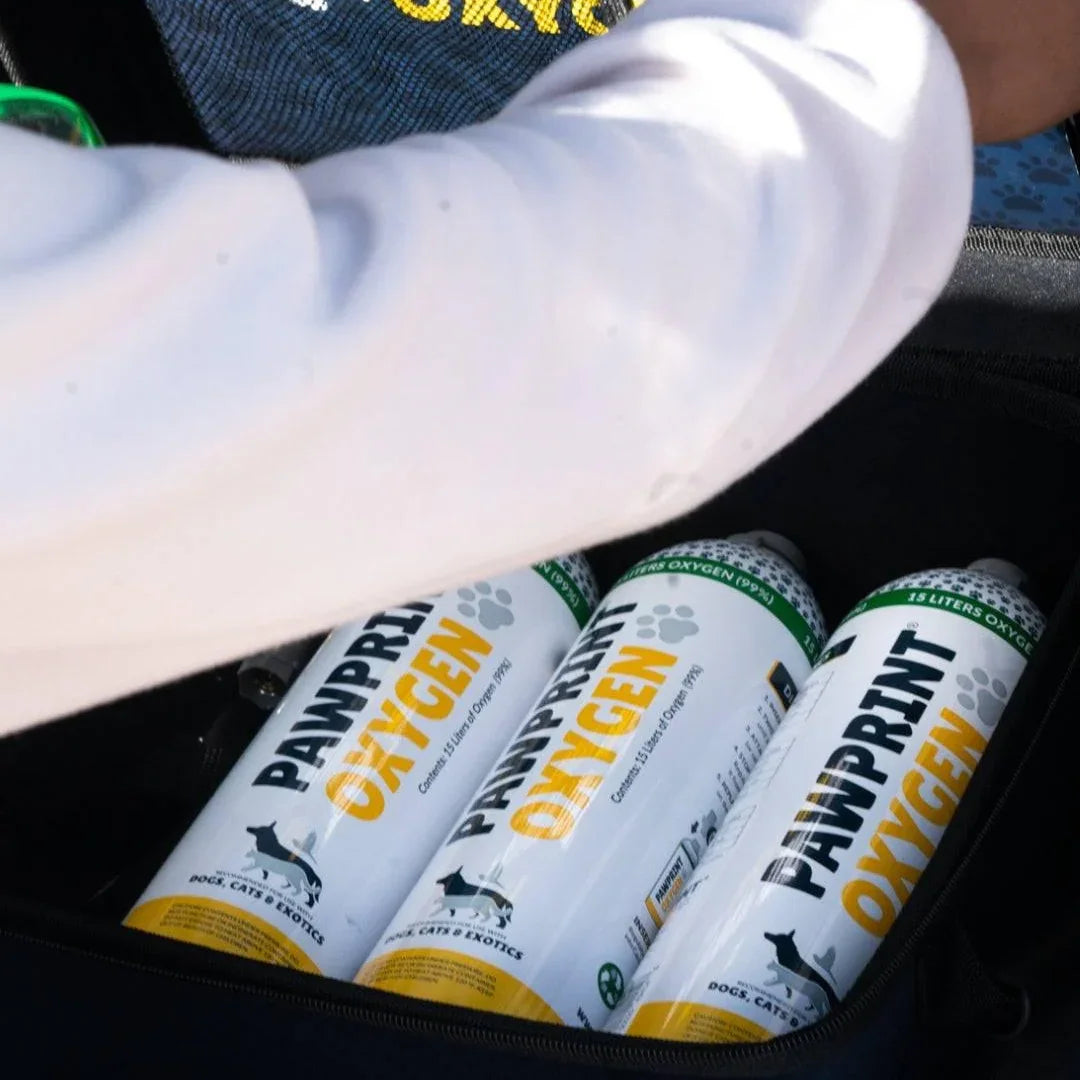 3 pack of Pet Oxygen Canisters