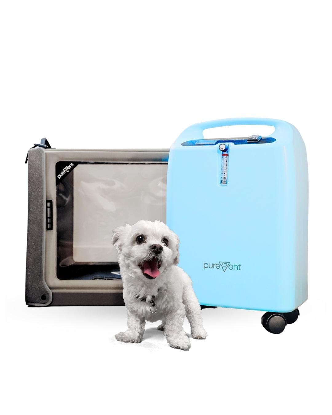 Extended Oxygen Therapy Bundle for Small Pets (Up to 30 lbs) – Continuous Oxygen Support