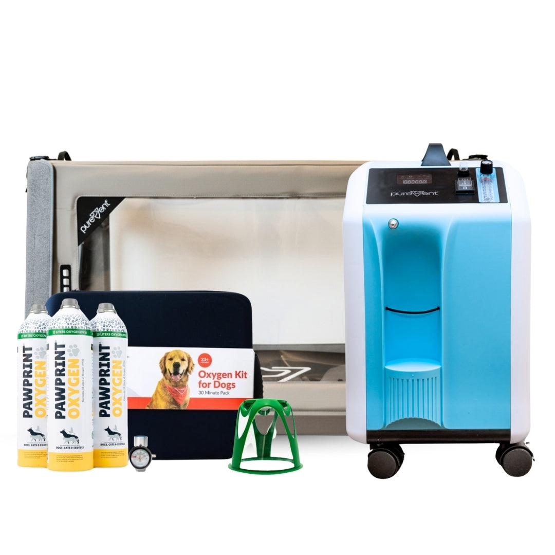 Oxygen kit for dogs with a blue oxygen concentrator, bottles, and a cart on a white background.