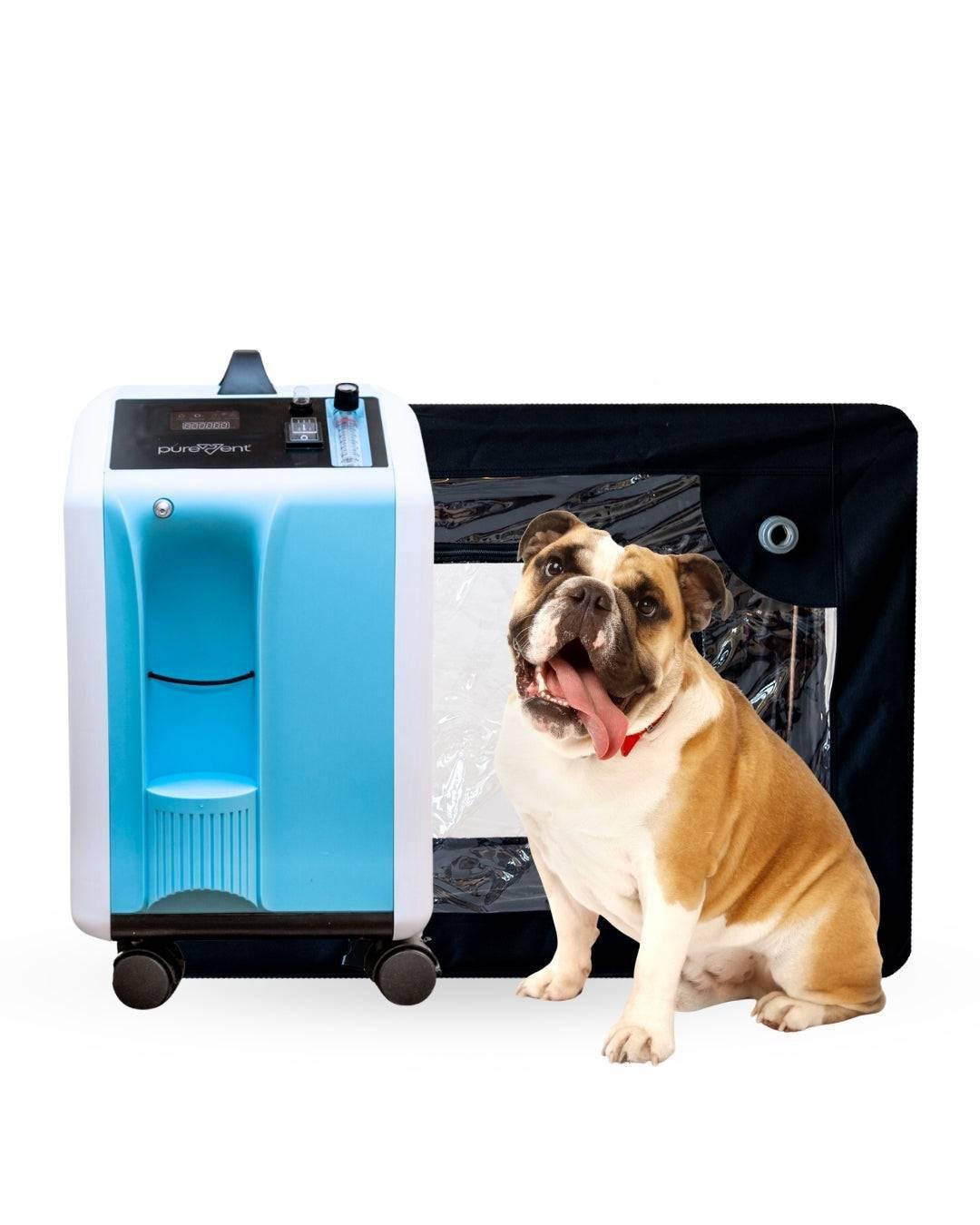 Extended Oxygen Therapy Bundle for Large Pets, up to 70 lbs