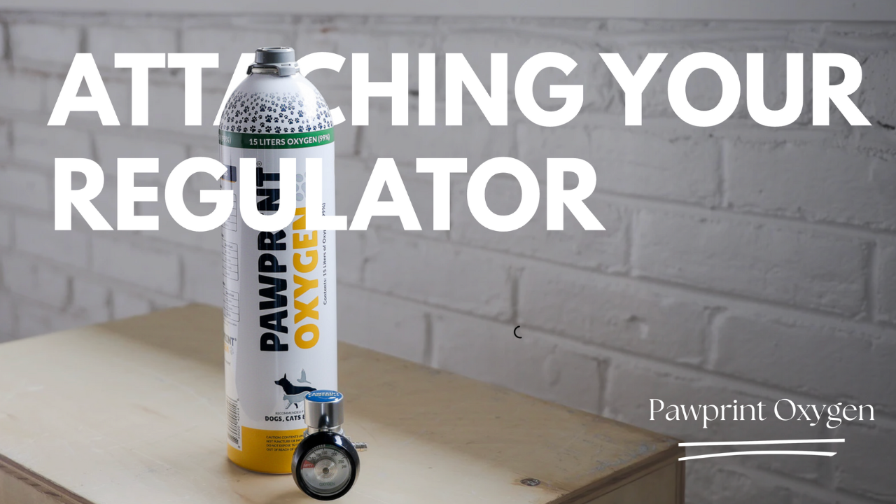 how to attach your regulator to your canister