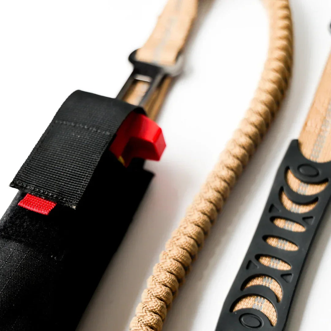 stretch bungee leash for dogs