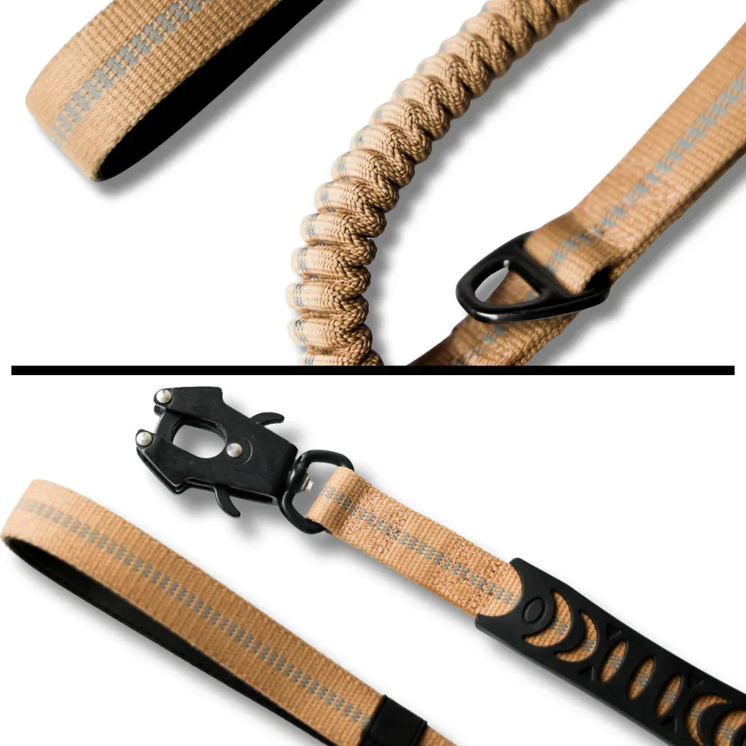 pinch lock stretch leash for dogs