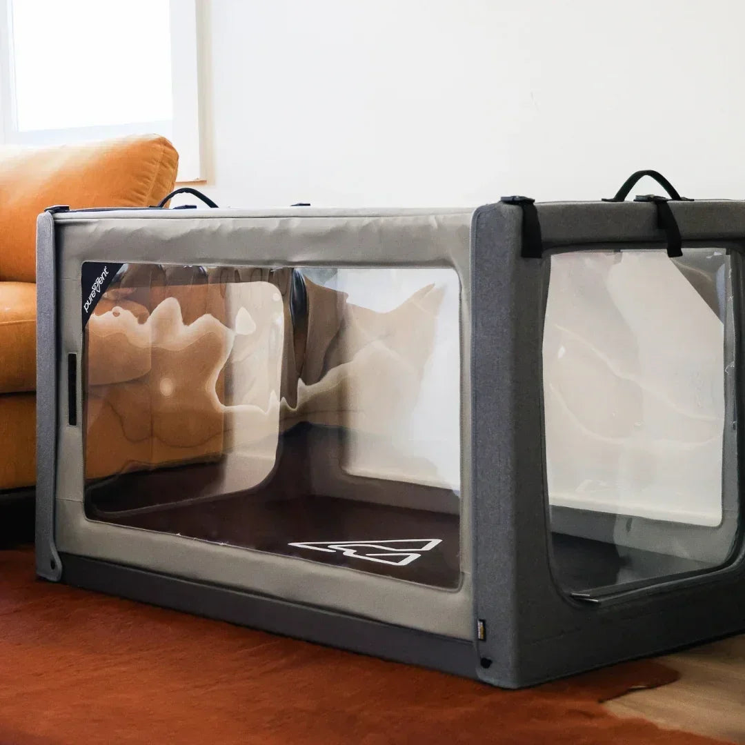 Pet oxygen chamber with transparent sides on a wooden floor, with a couch in the background.