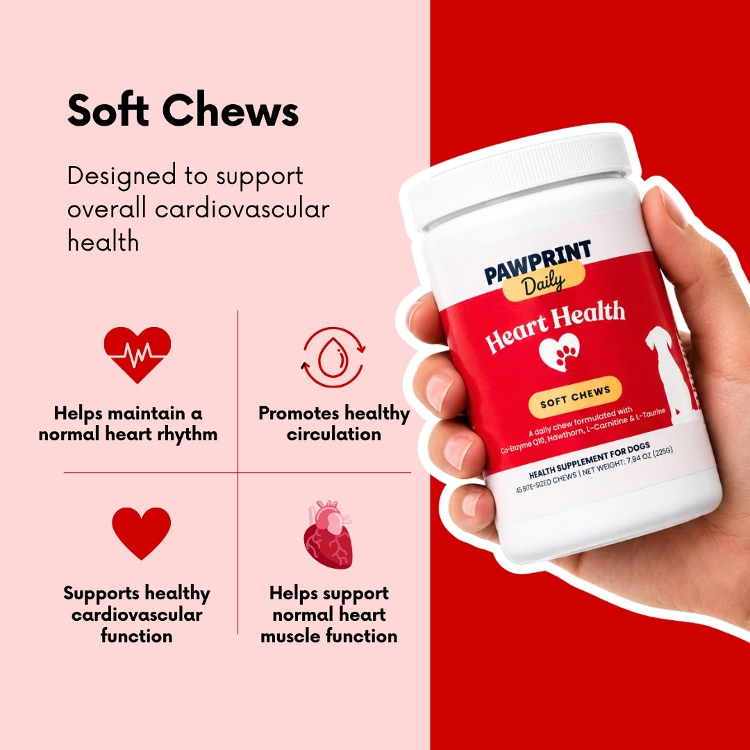 Heart Health Soft Chews, For Dogs — Supports Healthy Heart Function