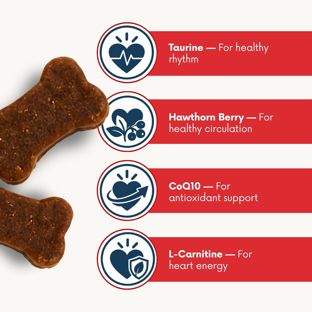 Heart Health Soft Chews, For Dogs — Supports Healthy Heart Function