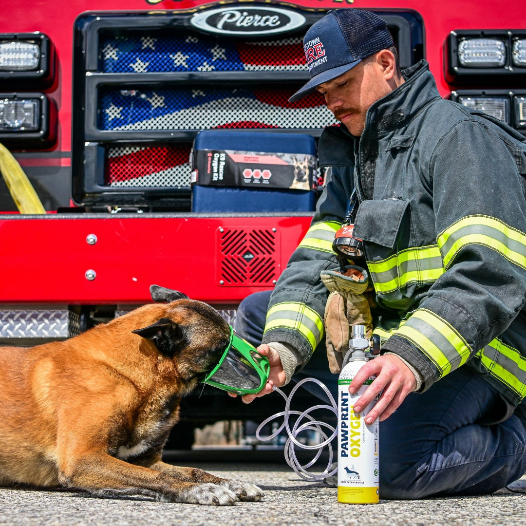 fire fighter administering oxygen to dog
