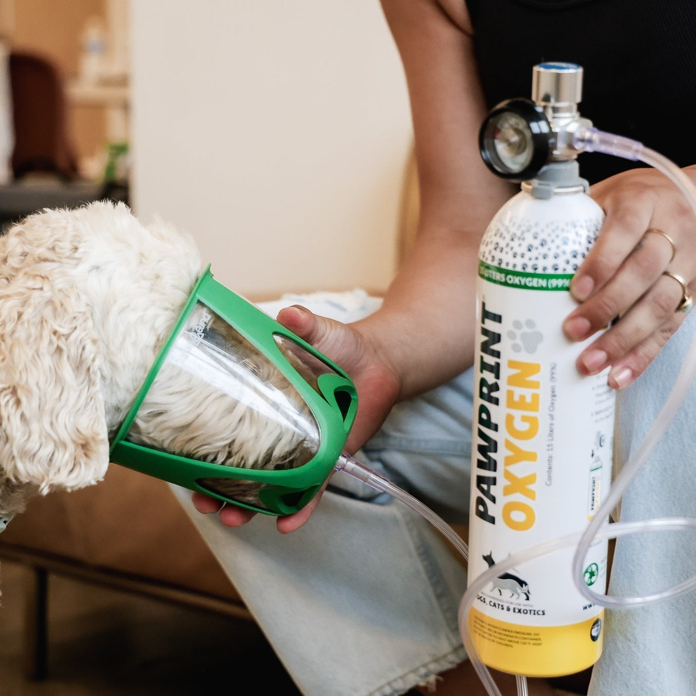 Person holding a Pawprint oxygen canister and mask to a dog