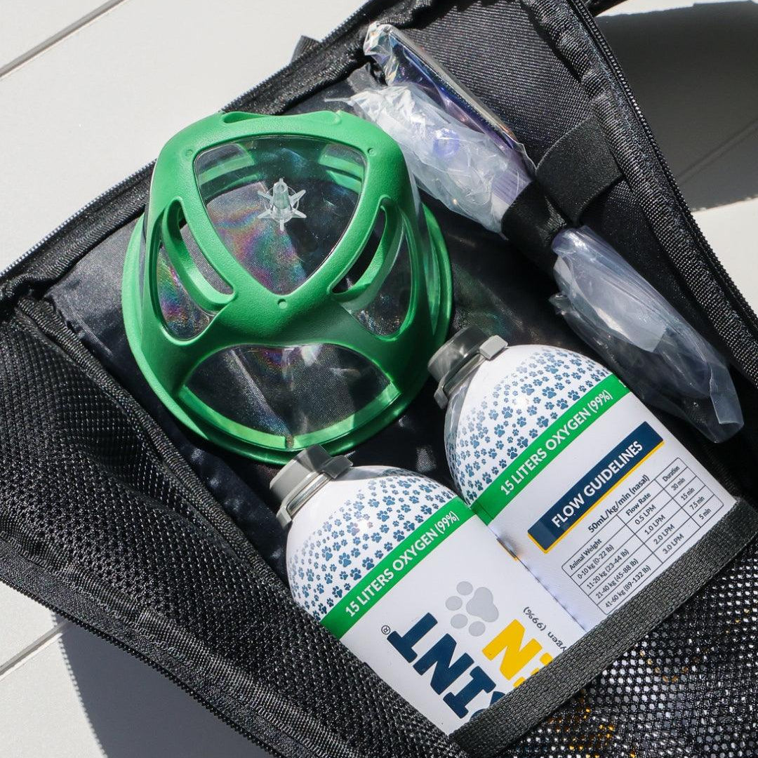 pet oxygen mask and oxygen first aid