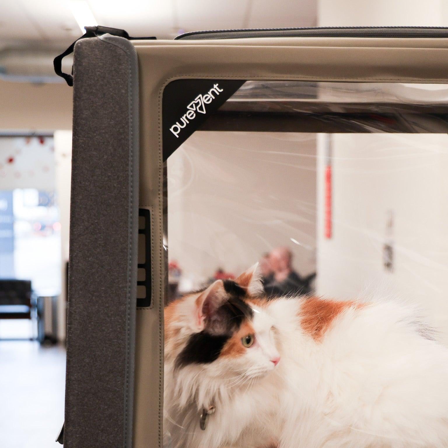 veterinary oxygen chamber for pets