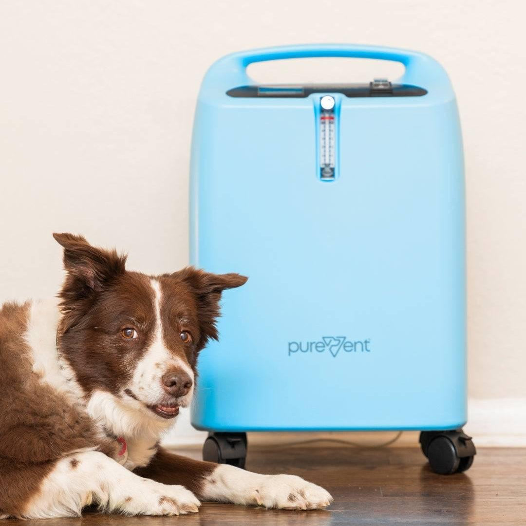 Pet Oxygen Concentrator - PureVent 5L with dog