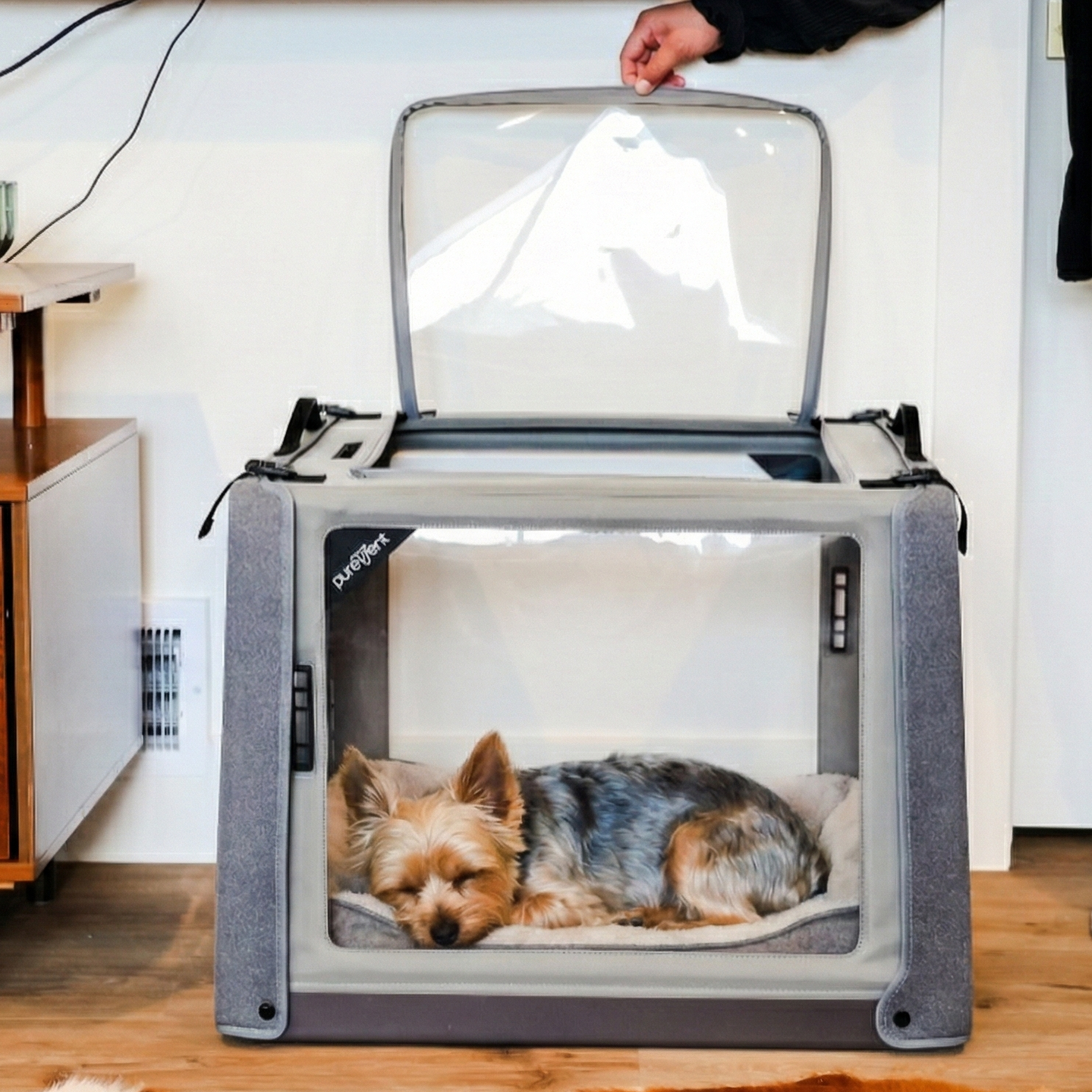 Small yorkie in oxygen chamber