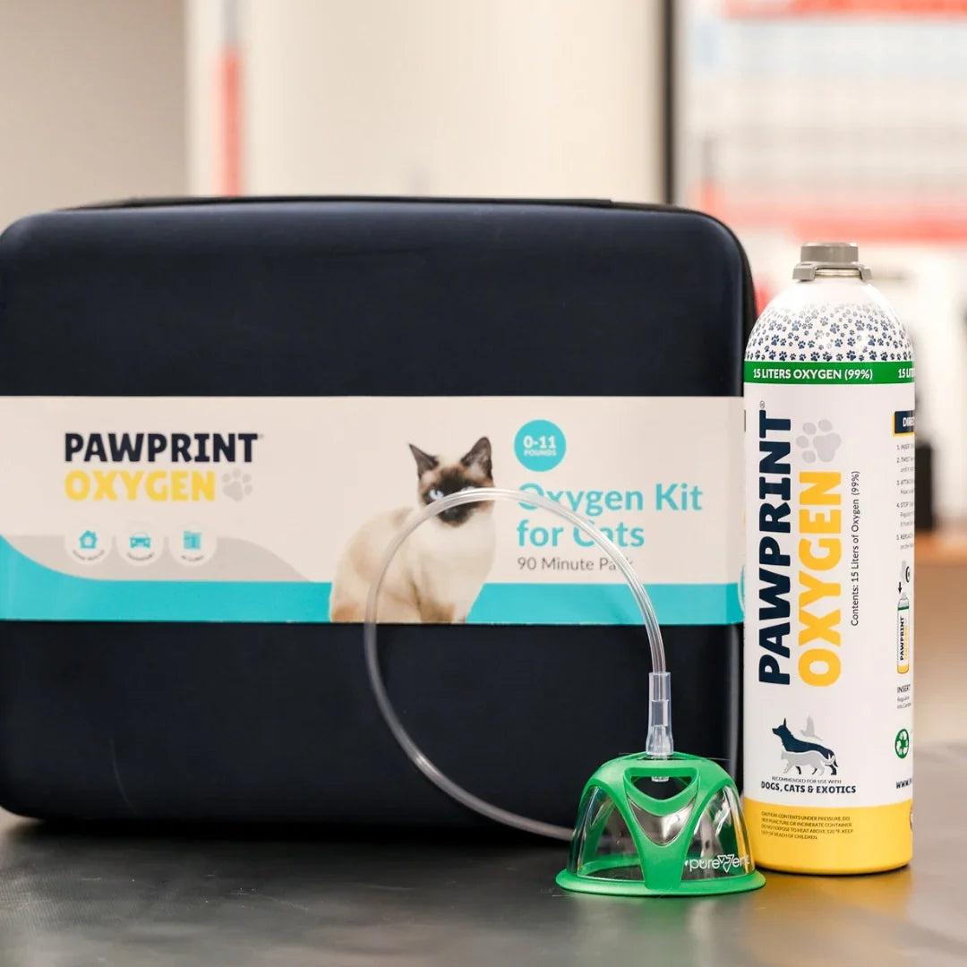 Cat Rescue Oxygen Kit – Rescue Oxygen Therapy and Transport for Pets