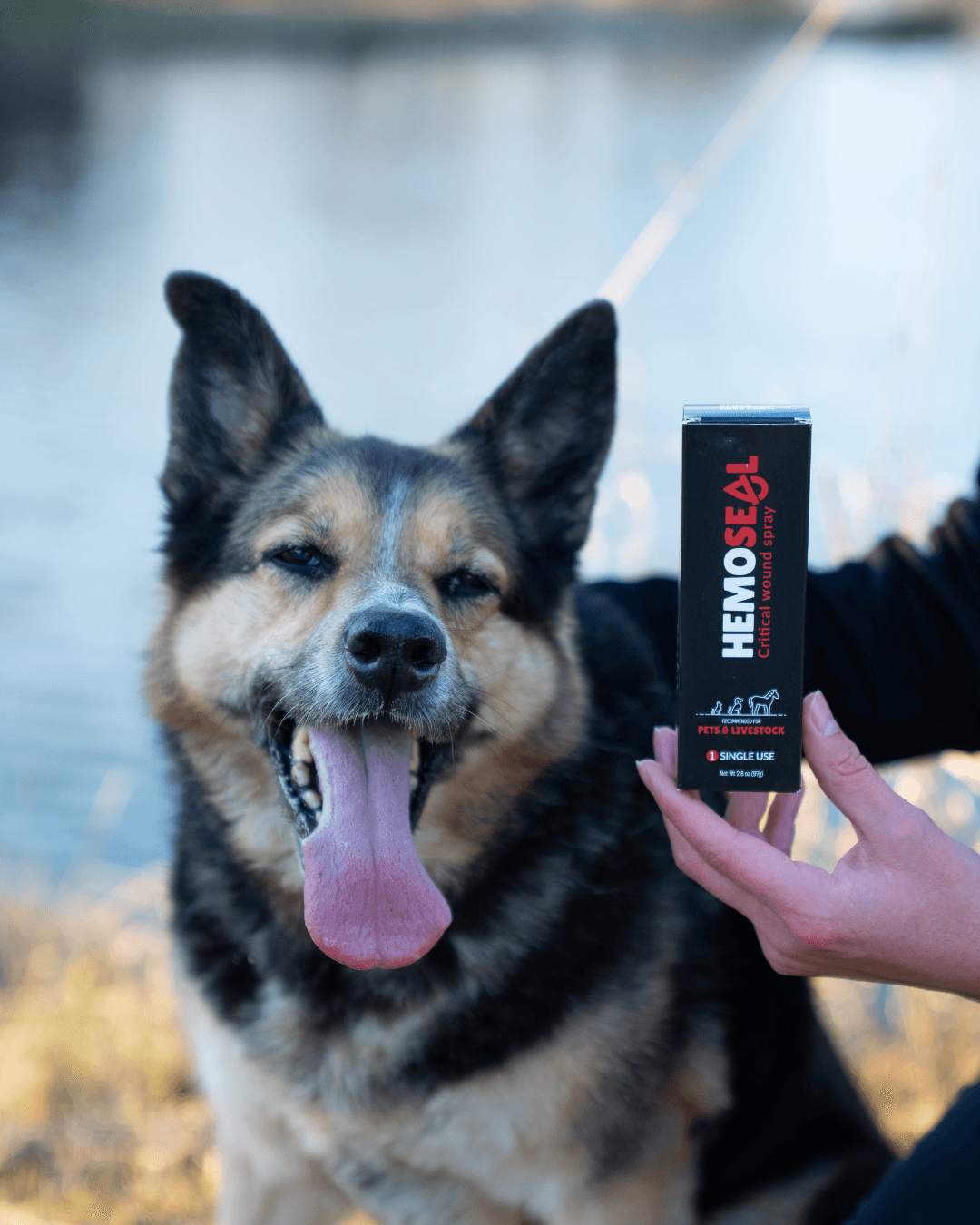 emergency animal wound care spray