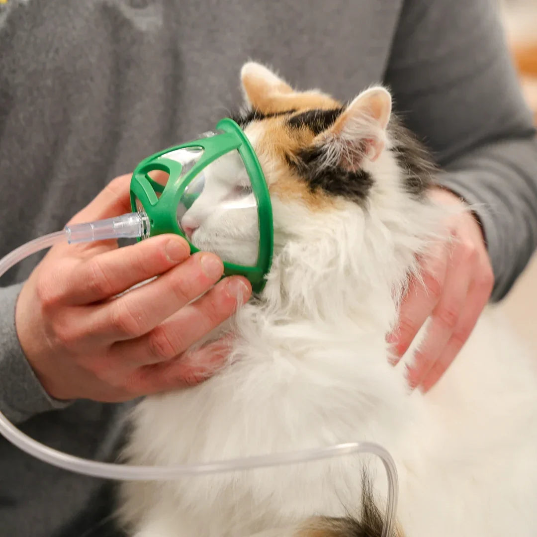 Cat Rescue Oxygen Kit – Rescue Oxygen Therapy and Transport for Pets