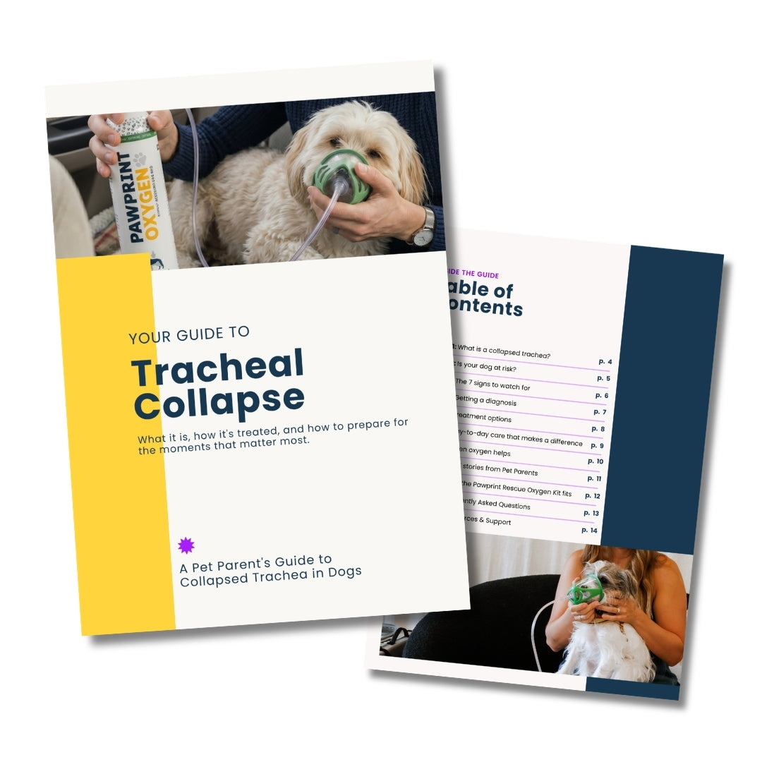 eBook: Collapsed Trachea In Dogs