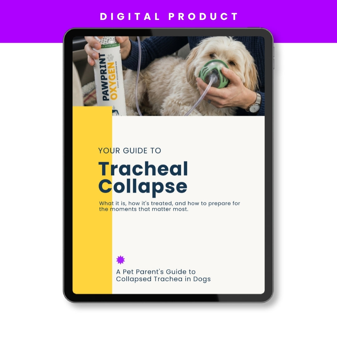 eBook: Collapsed Trachea In Dogs