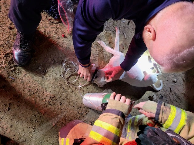 pet oxygen for fire departments