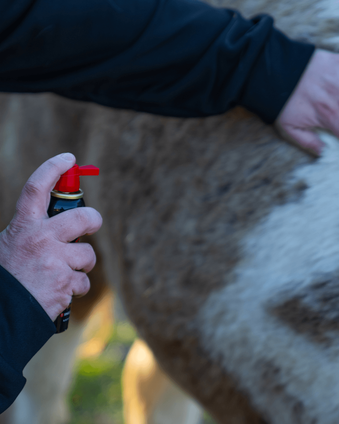 hemostatic spray for livestock animals