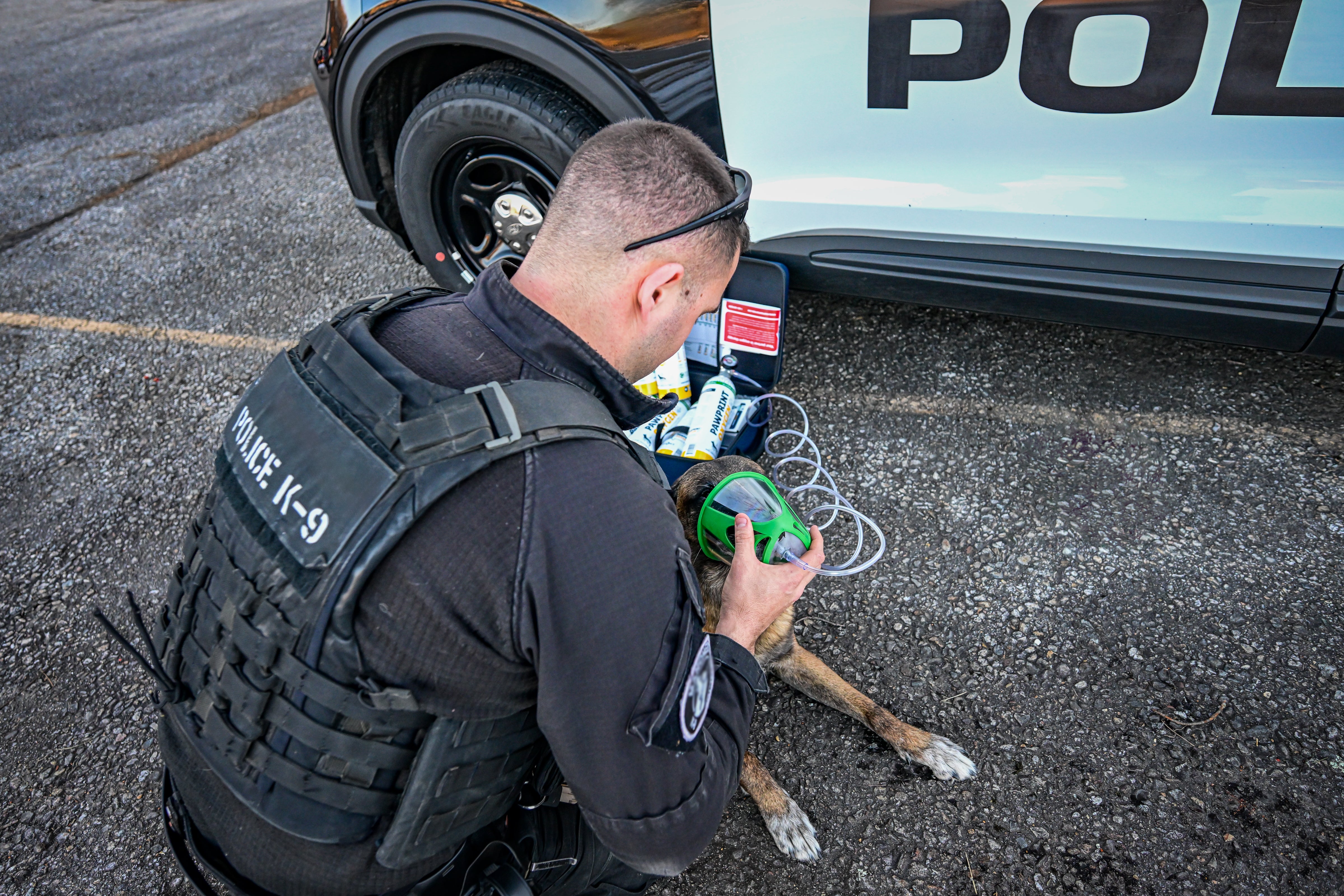 k9 emergency EMS oxygen