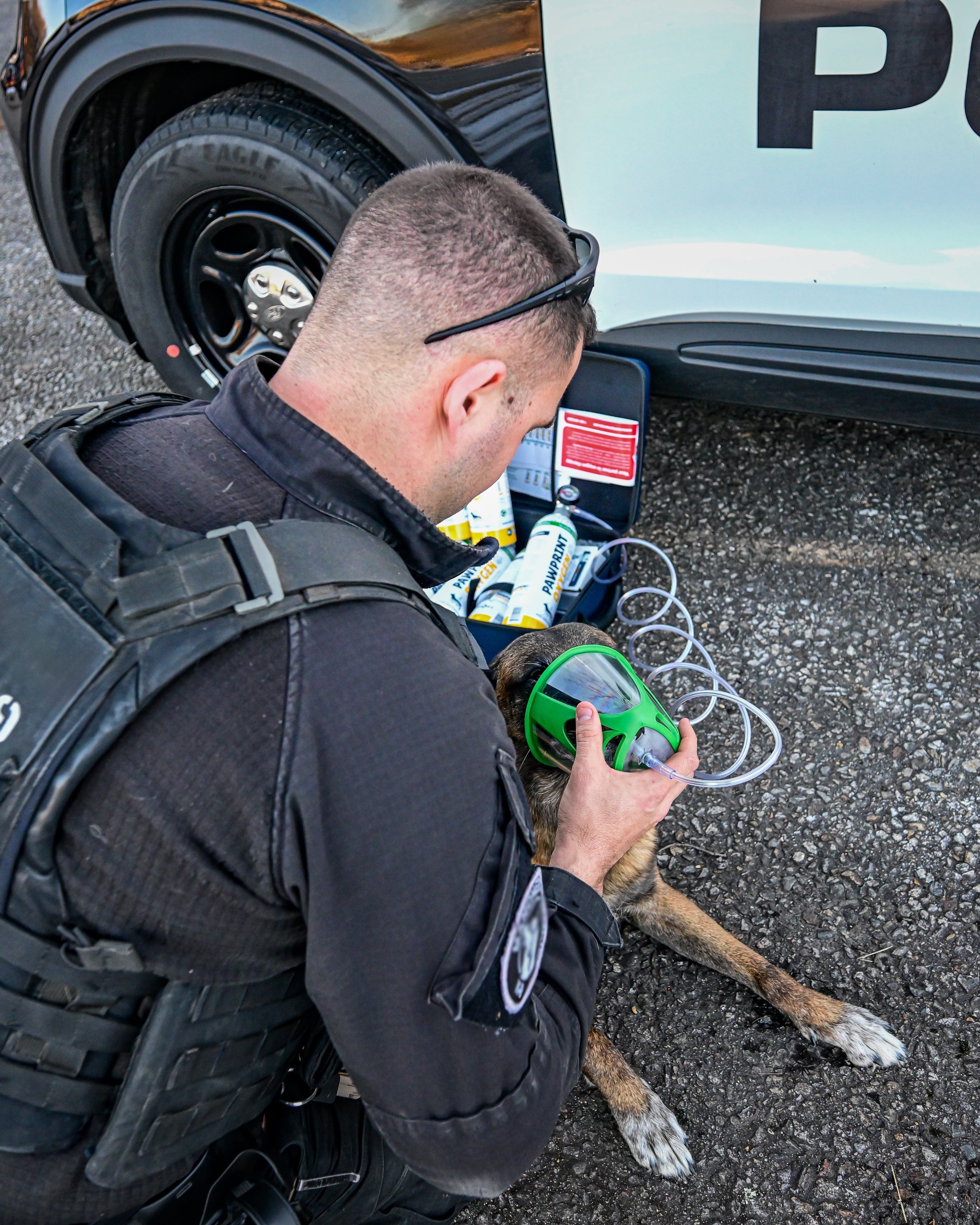 canine tactical oxygen rescue kit
