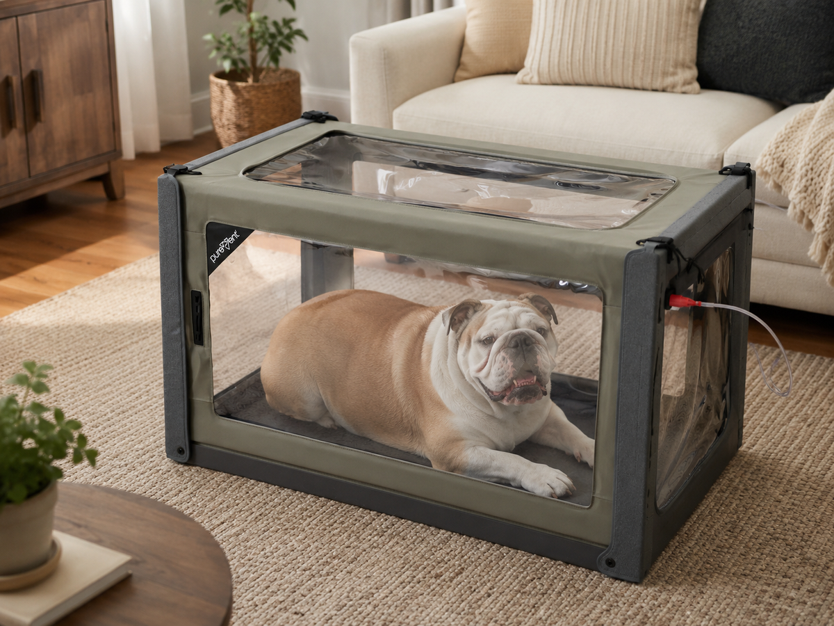Dog feeling sick and using Extended Oxygen Therapy by Pawprint Oxygen