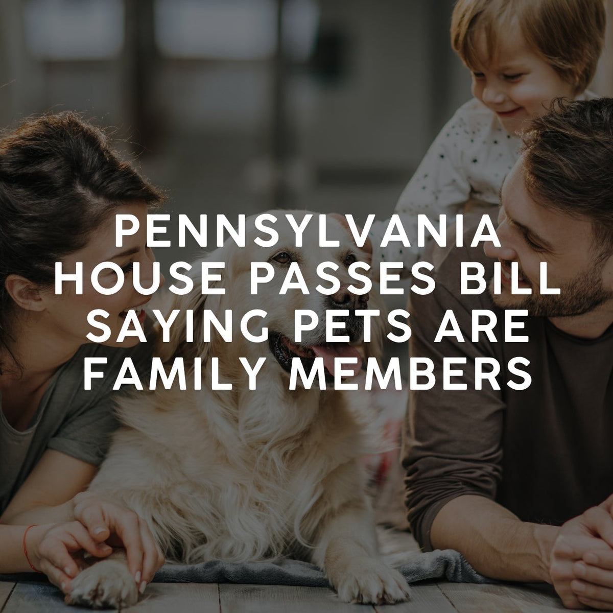 The Simpsons: 10 Funniest Homer Simpson Memes Only True Fans Will Understand, image size:1200x1200