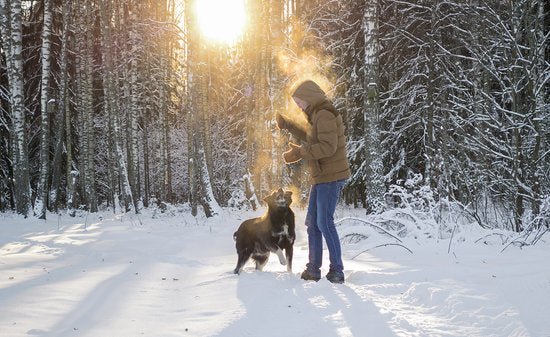 lady with her dog in a snowy forest