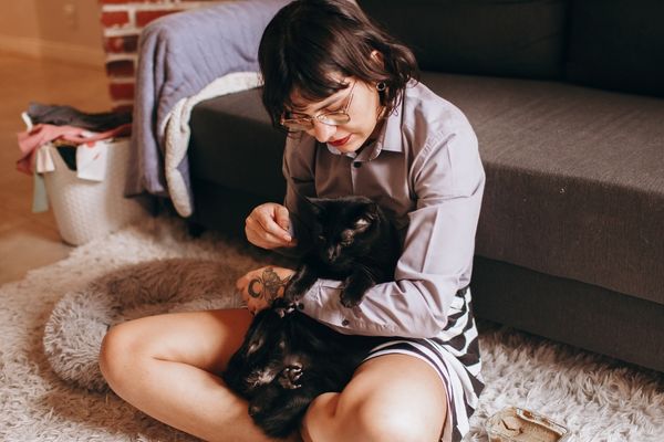 Black cat resting in the lap of a woman