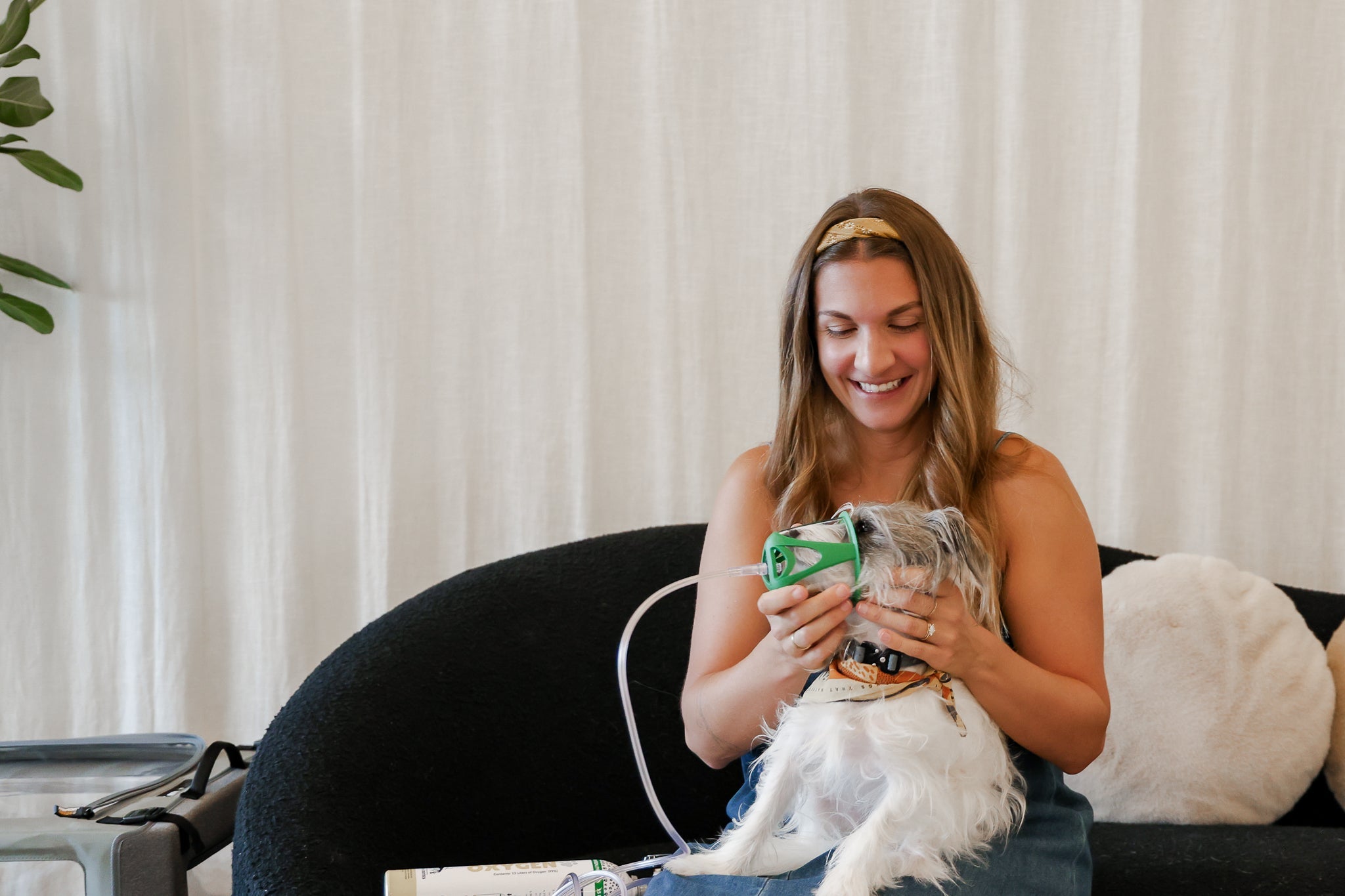 woman is giving her dog oxygen therapy