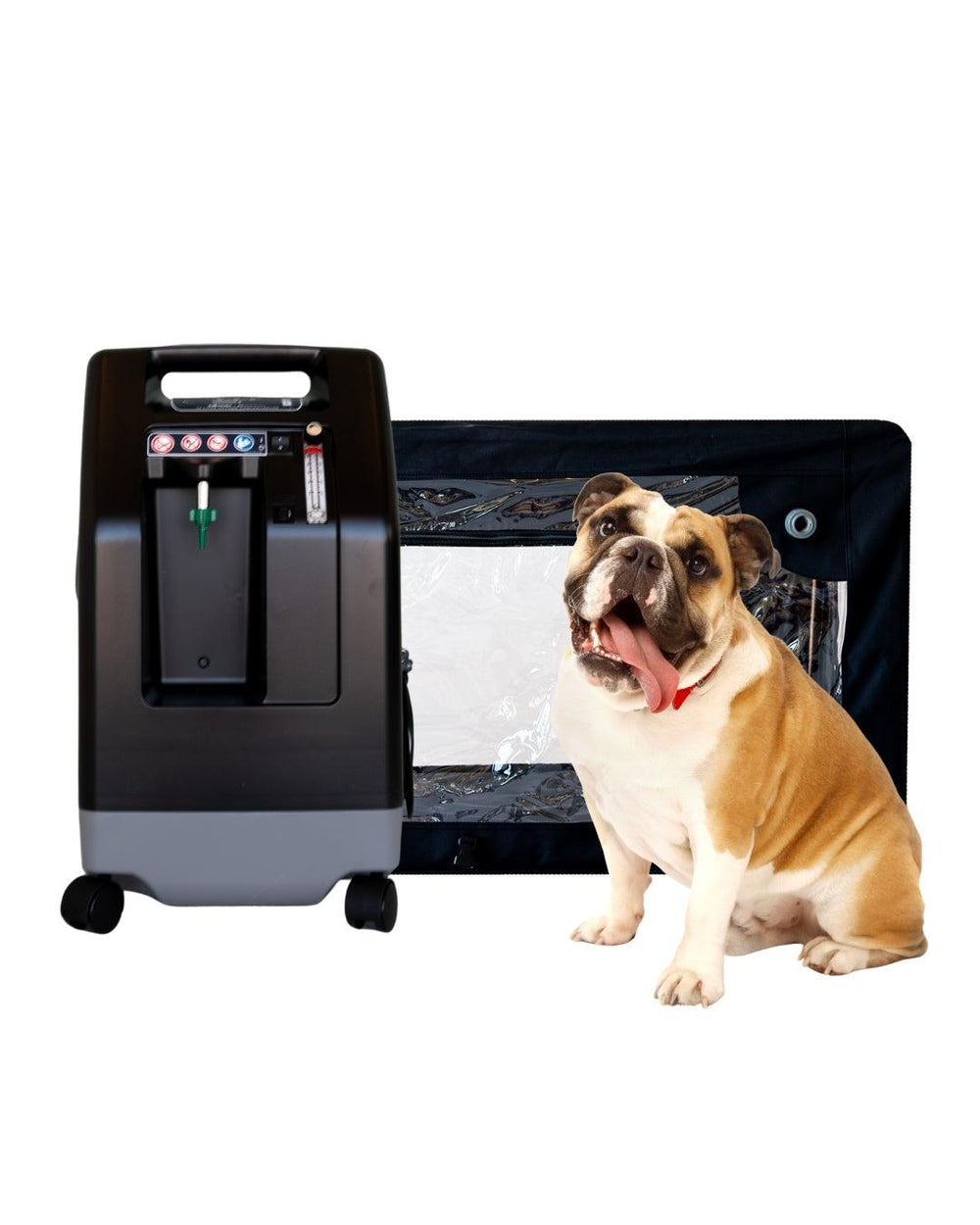 La Rescue O2 Go Pet Oxygen Products for Dogs & Cats at Home | Pawprint Oxygen