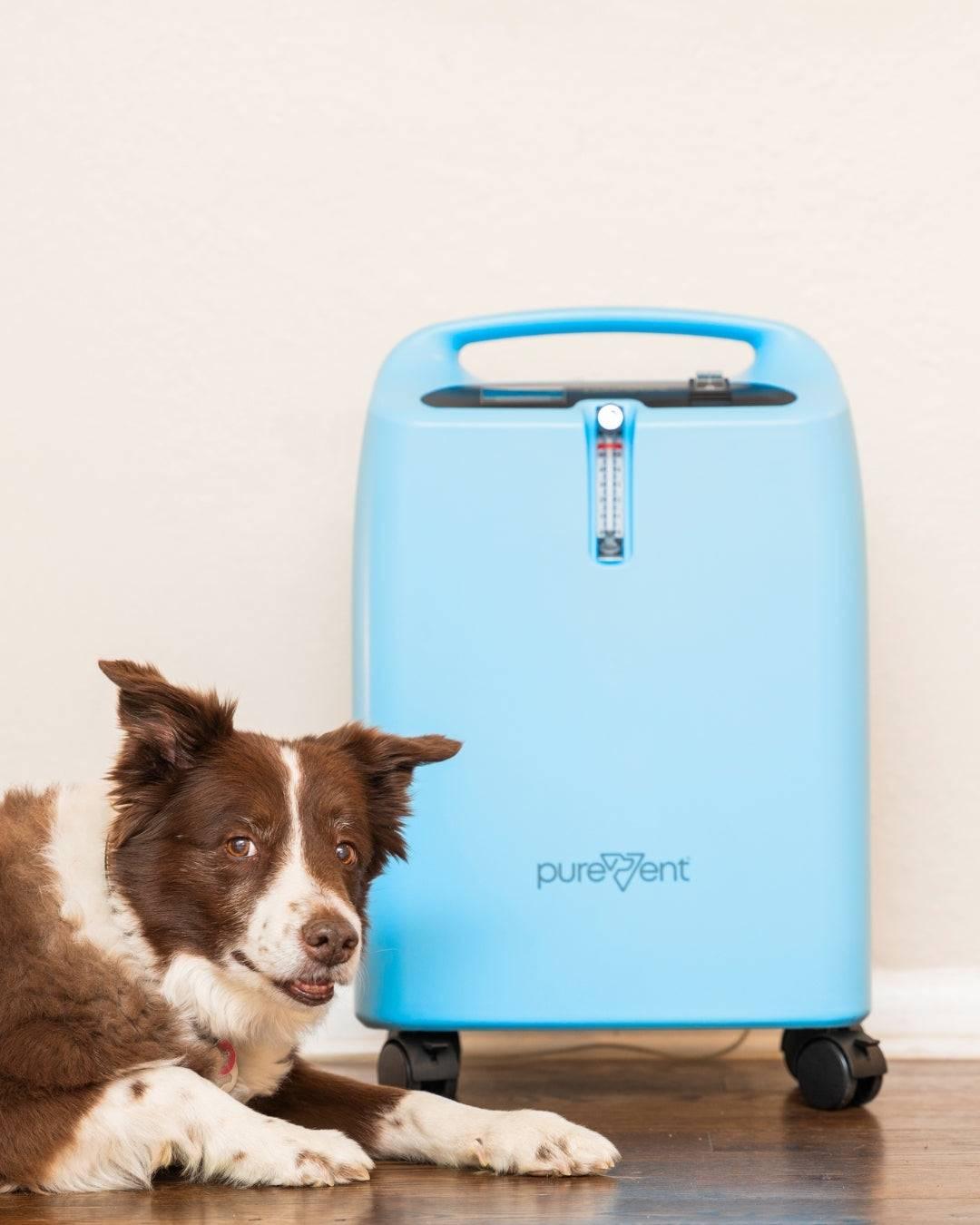 Pet Oxygen Concentrator - PureVent 5L with dog