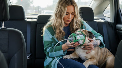 Woman holding a dog with a oxygen mask in a car