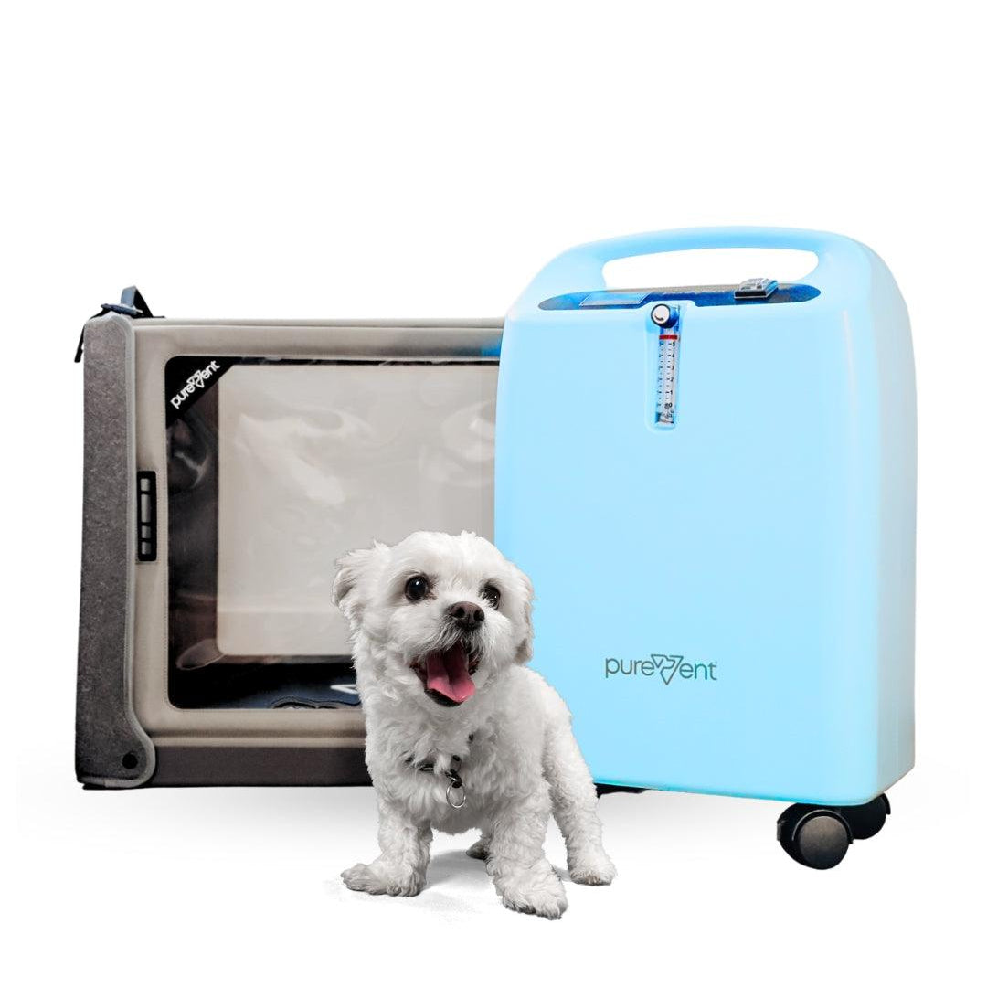 Small dog standing next to a blue 'purevent' pet oxygen chamber on a white background