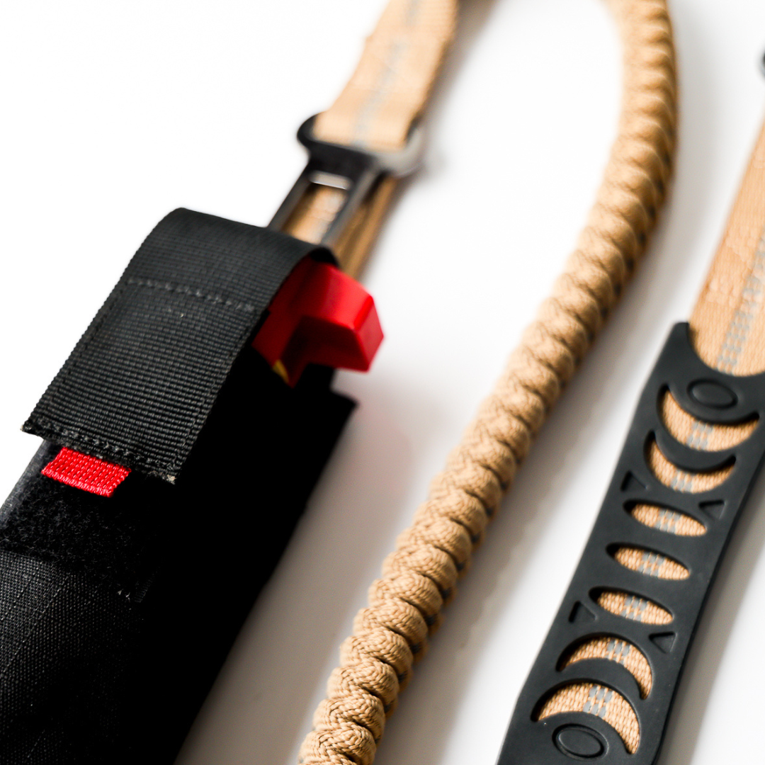 Stretch Leash with Carry Pouch