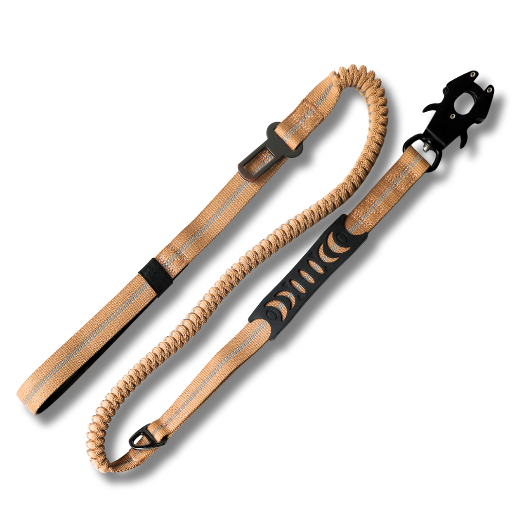 Stretch Leash with Carry Pouch