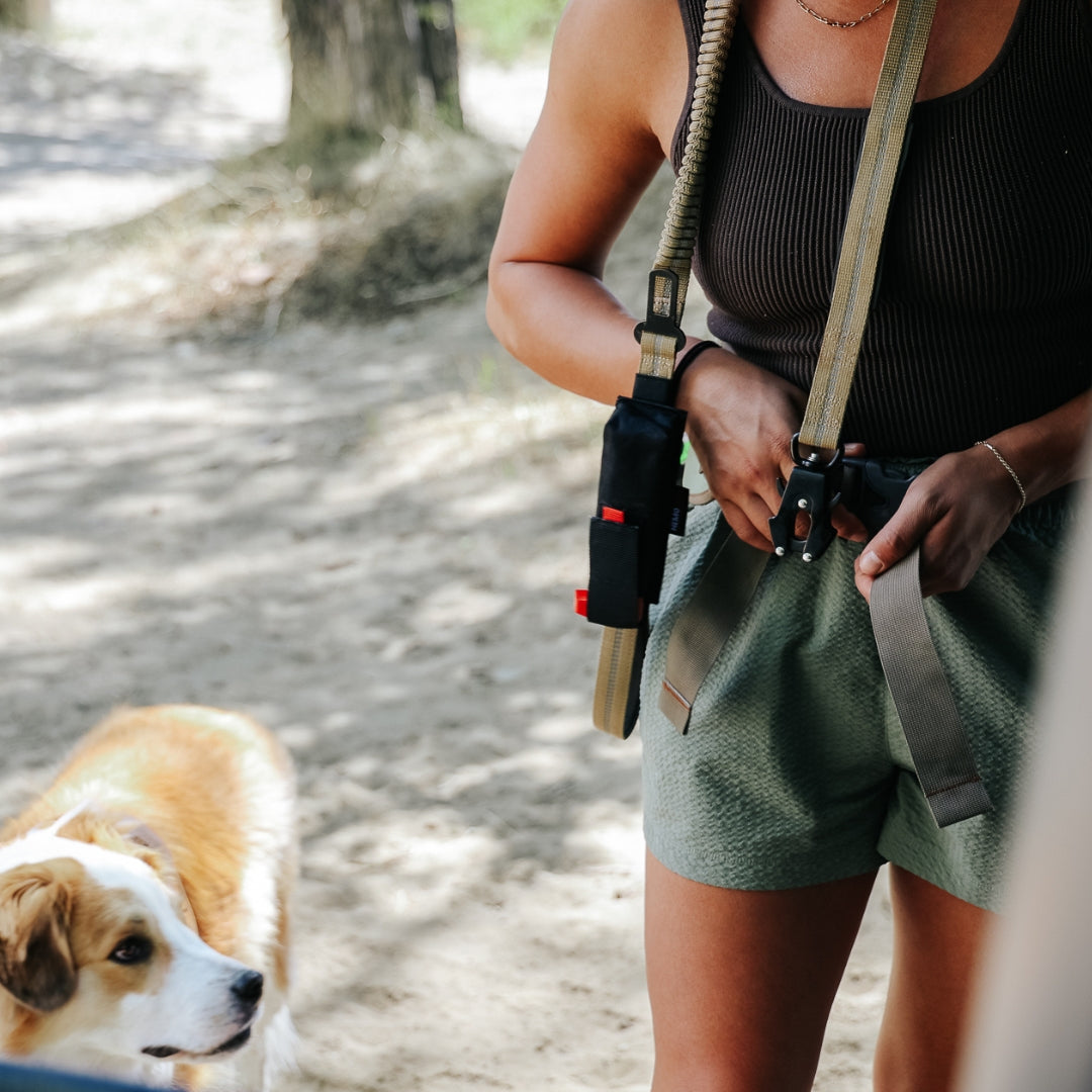 HemoSEAL Wound Spray + Stretch Leash with Carry Pouch