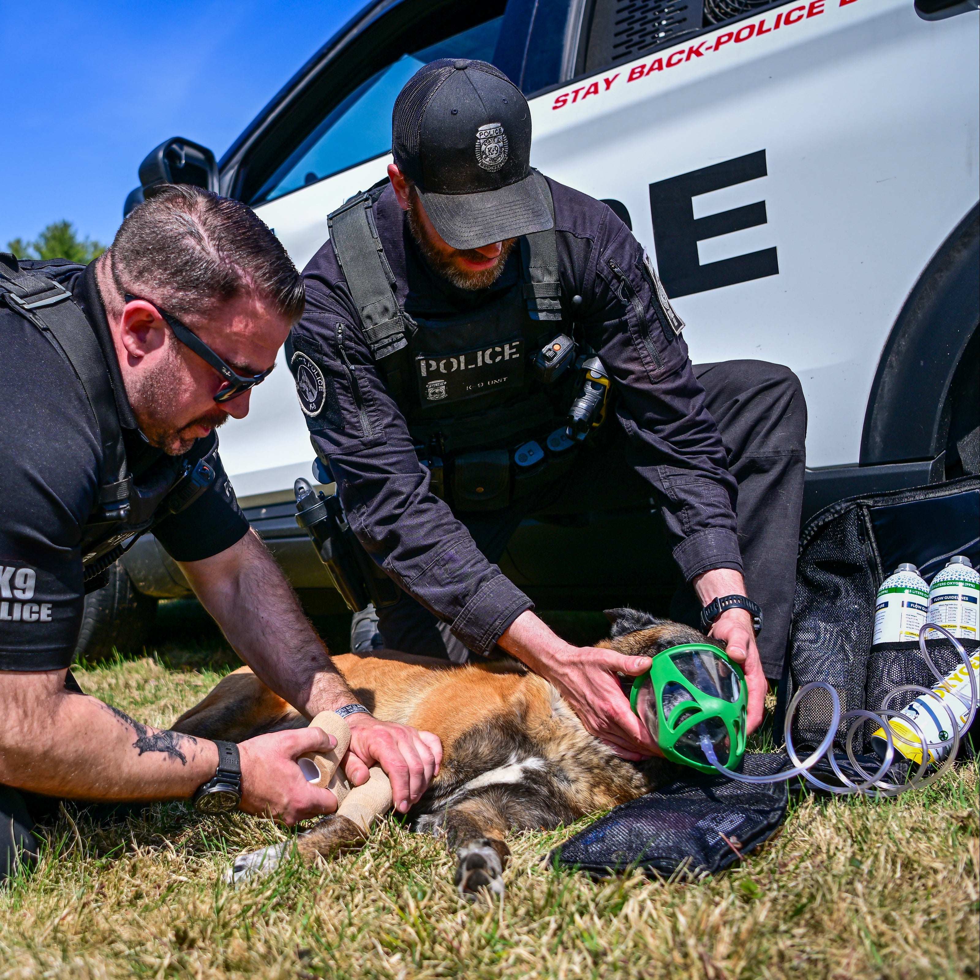 k9 Police administering first aid to dog laying on the ground