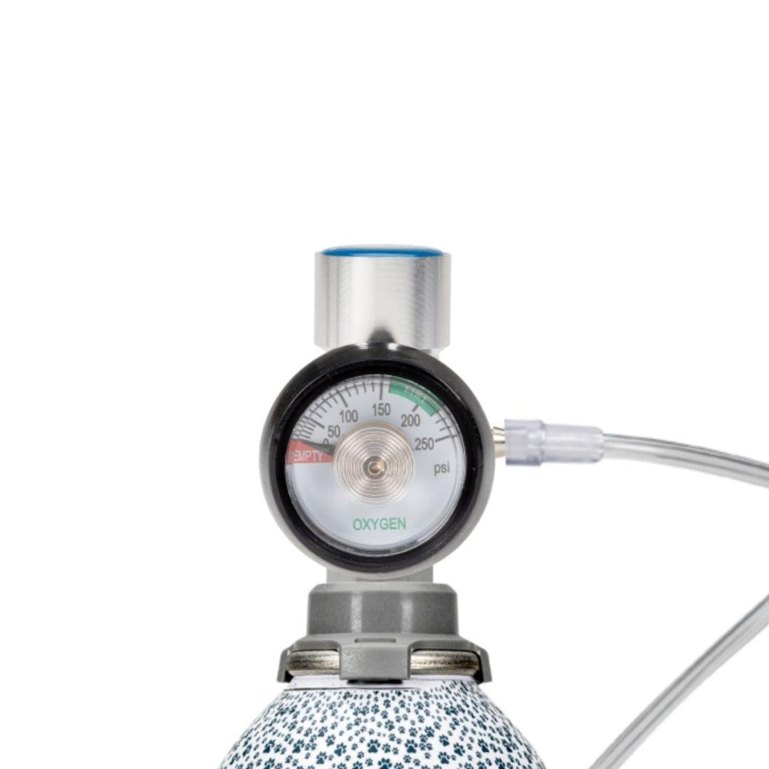 close up front view of oxygen flow rate regulator for pets